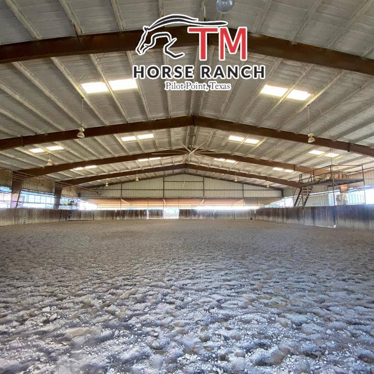 10145 Friendship Road, Pilot Point, TX 76258
