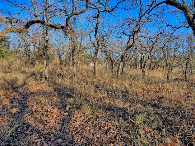 103 Diamond Oaks Drive, Nocona, TX 76255