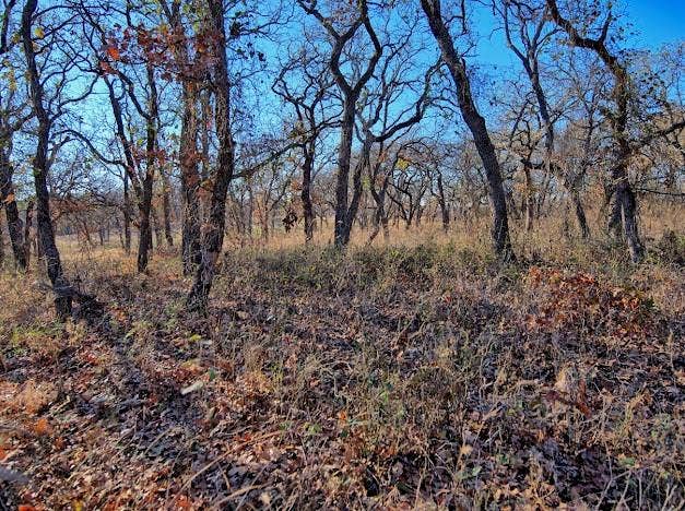 103 Diamond Oaks Drive, Nocona, TX 76255