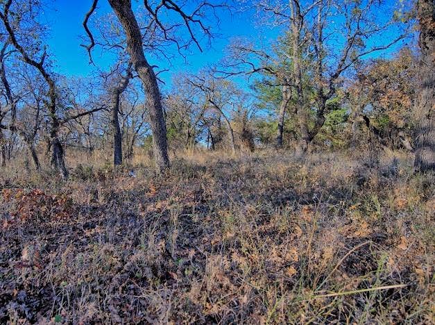 103 Diamond Oaks Drive, Nocona, TX 76255
