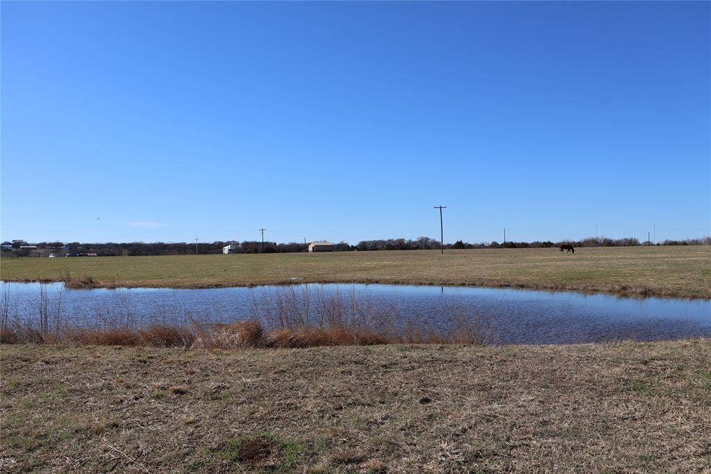 pond with bluegill and crappie