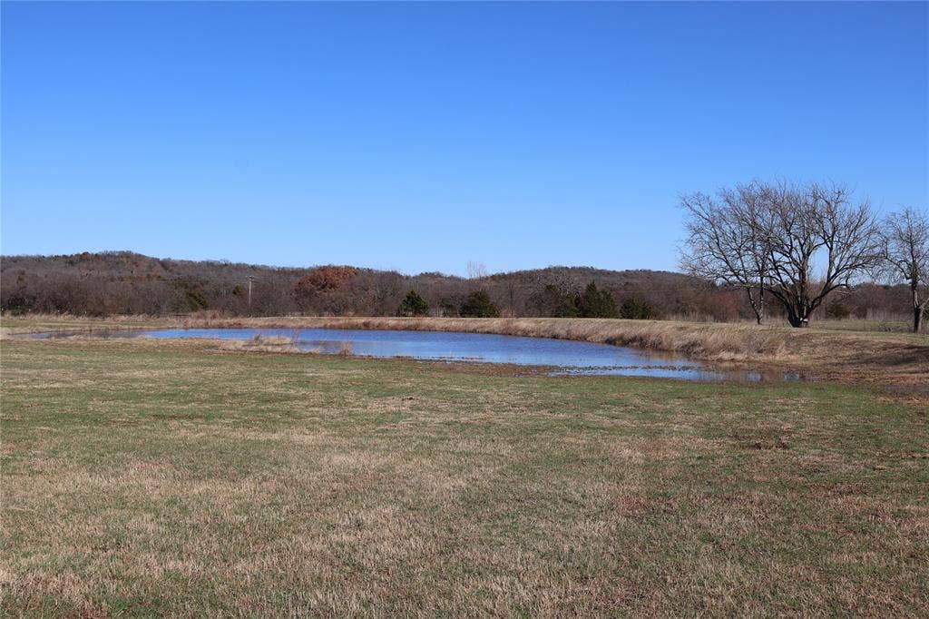 pond