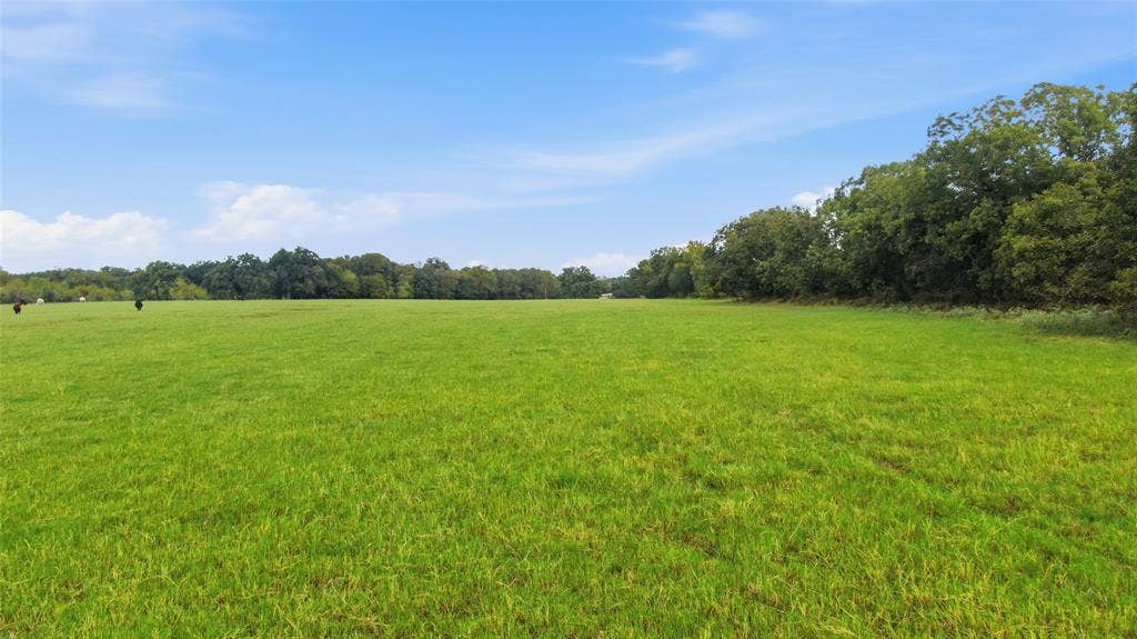 TBD County Road 182, Comanche, TX 76442 TBD County Road 182, Comanche, TX 76442
