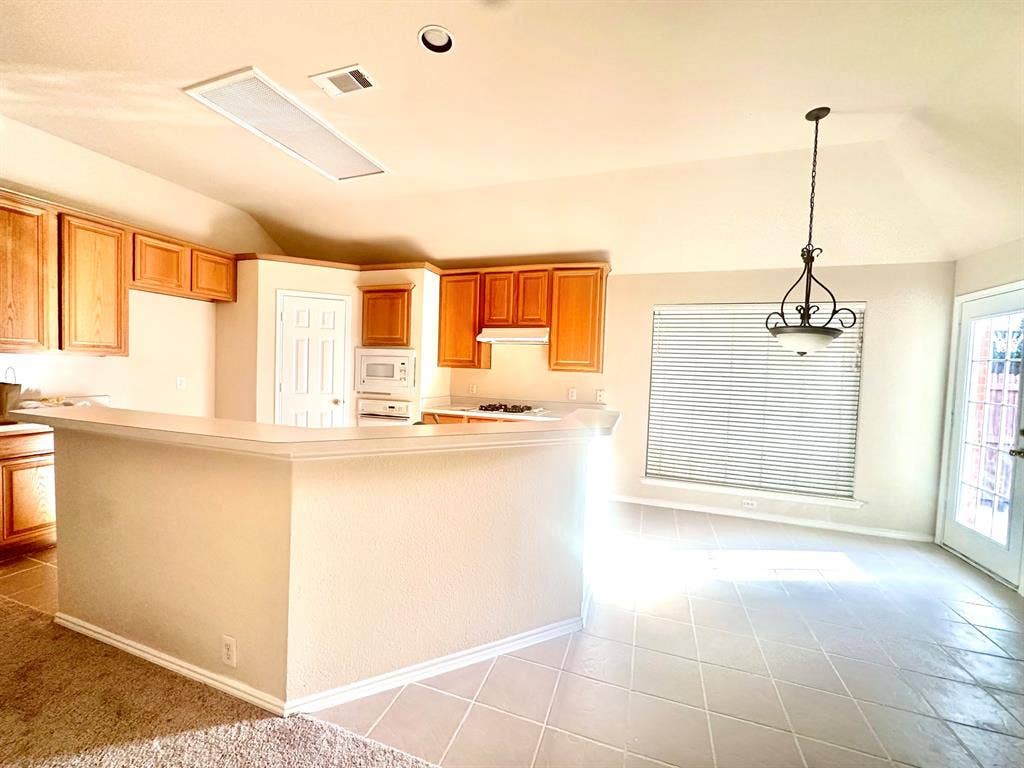 8733 Somerville Way, Plano, TX 75025