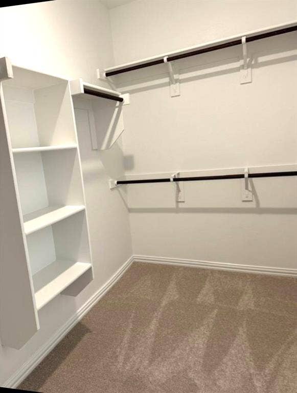 412 Ardsley Lane, Princeton, TX 75407 Spacious closet featuring carpet flooring