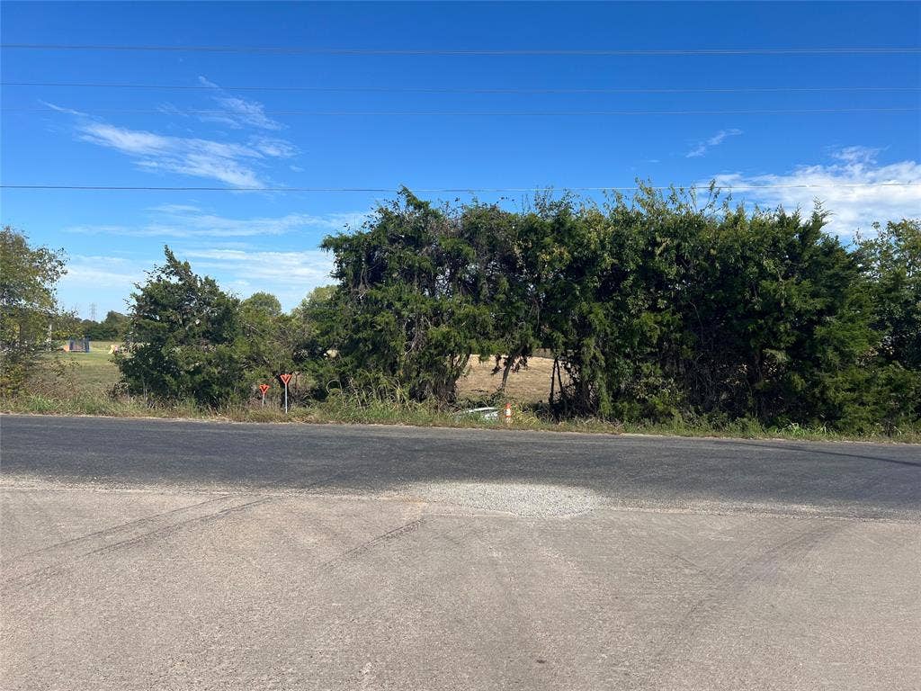 Expansive parcel featuring mature trees and established perimeter vegetation