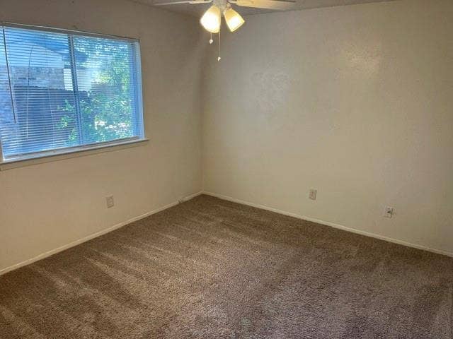 1236 Neptune Drive, Cedar Hill, TX 75104 Neutral-toned wall-to-wall carpeting, single-pane horizontal sliding window, and ceiling-mounted light fixture with a central fan