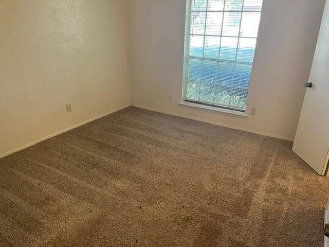 1236 Neptune Drive, Cedar Hill, TX 75104 Neutral-toned wall-to-wall carpeting, single-pane window with a grid pattern, and solid-core interior door