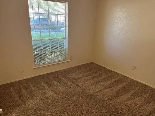 1236 Neptune Drive, Cedar Hill, TX 75104 Textured wall-to-wall carpeting and a tall, multi-pane window featuring integrated horizontal blinds