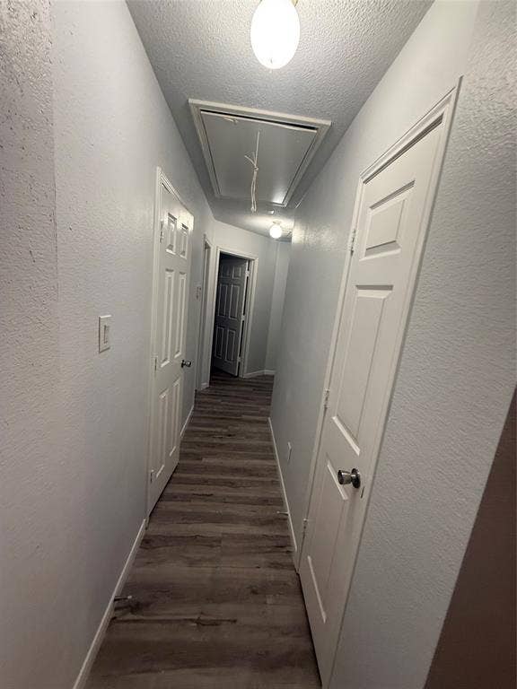 14 Heritage Way, Allen, TX 75002 Hallway featuring wood-finish flooring, six-panel interior doors, and ceiling-mounted light fixtures