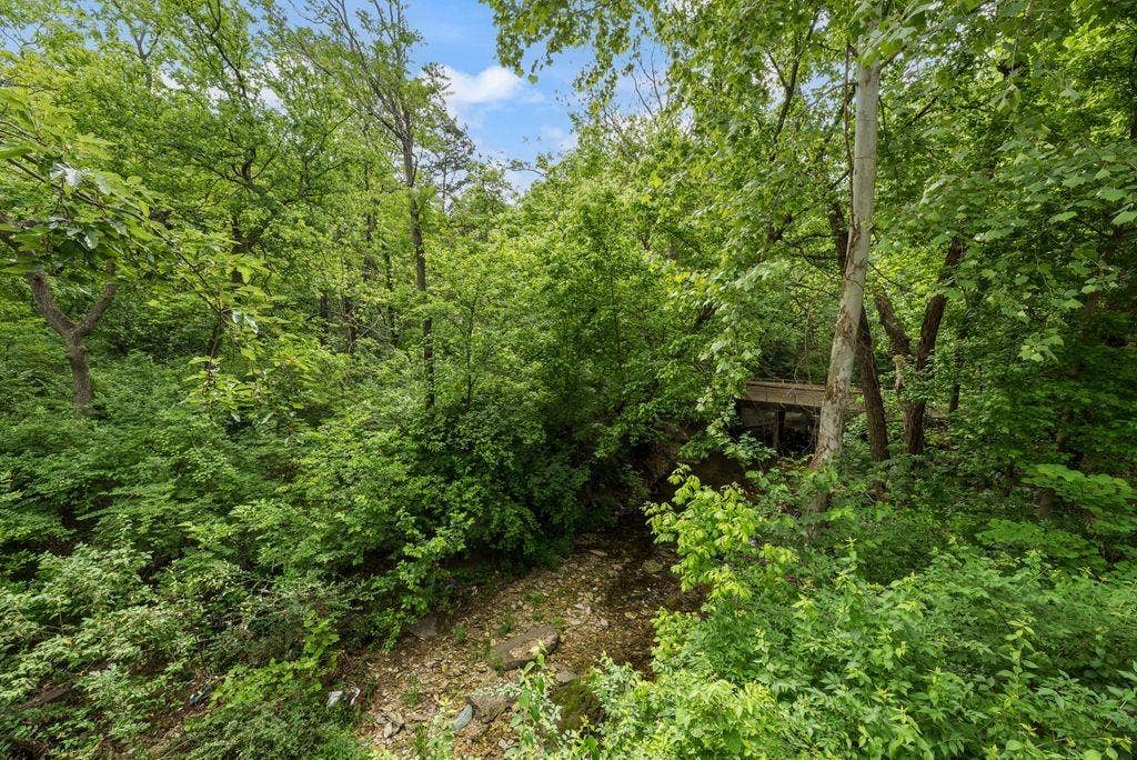 1418 Yakimo Drive, Dallas, TX 75208 Wooded landscape featuring a natural creek bed, mature deciduous trees, and a wooden footbridge