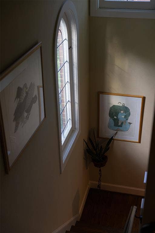 6020 Tremont Street, Dallas, TX 75214 Arched window featuring leaded glass detailing and dark wood-finish flooring