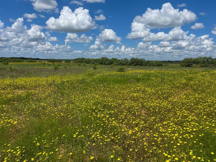 Property photo for 2035 CR 448, Rochelle, TX