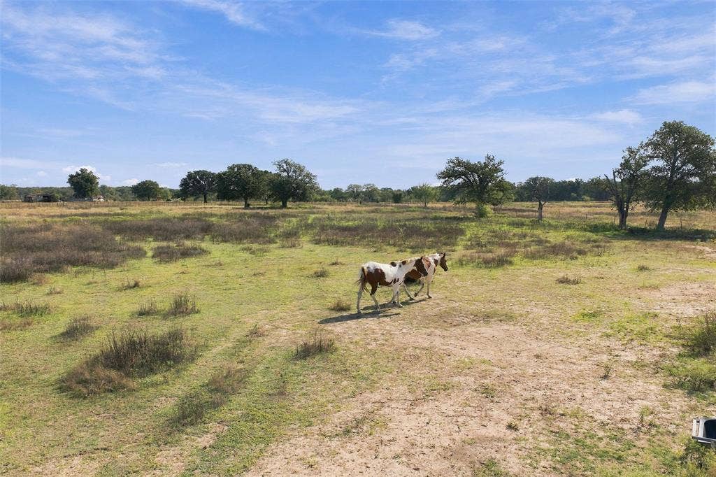 1654 Lincoln City Road, Elm Mott, TX 76640 1654 Lincoln City Road, Elm Mott, TX 76640