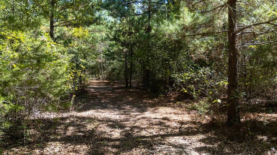Property photo for TBD Peach, #1, Gilmer, TX