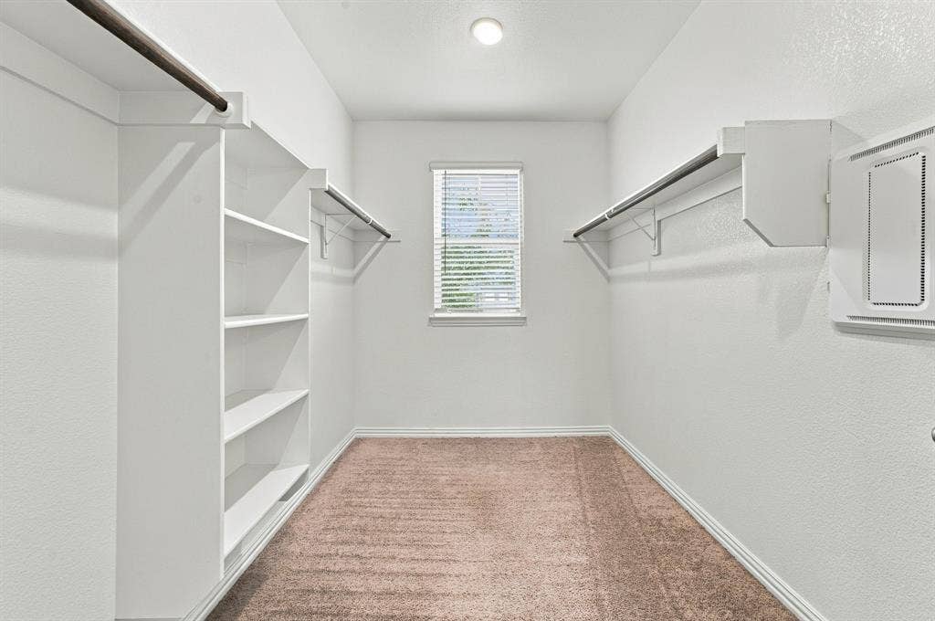 Walk-in closet featuring wall-to-wall carpeting, integrated white shelving, dual hanging rods, and a window with blinds