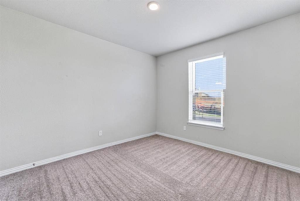 Neutral interior featuring plush wall-to-wall carpeting, crisp off-white wall paint, and a single vertical window with installed blinds