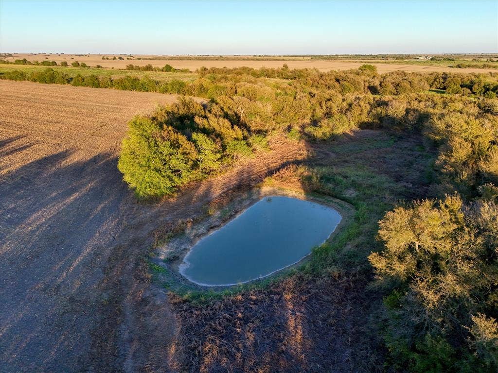 23010 Rosebud Road, Burlington, TX 76519 Expansive acreage featuring a natural pond, dense mature tree clusters, and open field topography