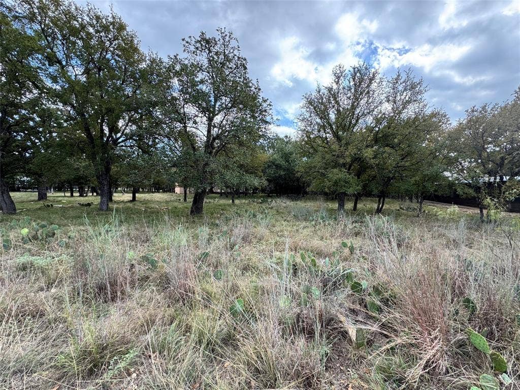 TBD Shoshoni Circle, May, TX 76857