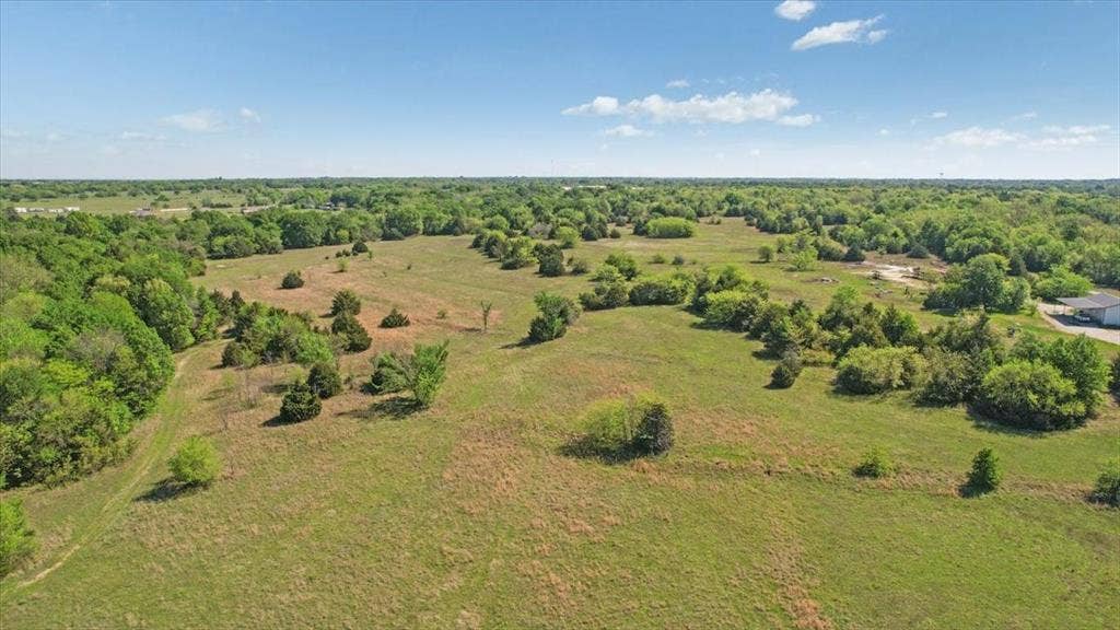 2377 FM 36 N, Farmersville, TX 75442 Expansive acreage featuring rolling open pasture, scattered mature trees, and natural vegetation