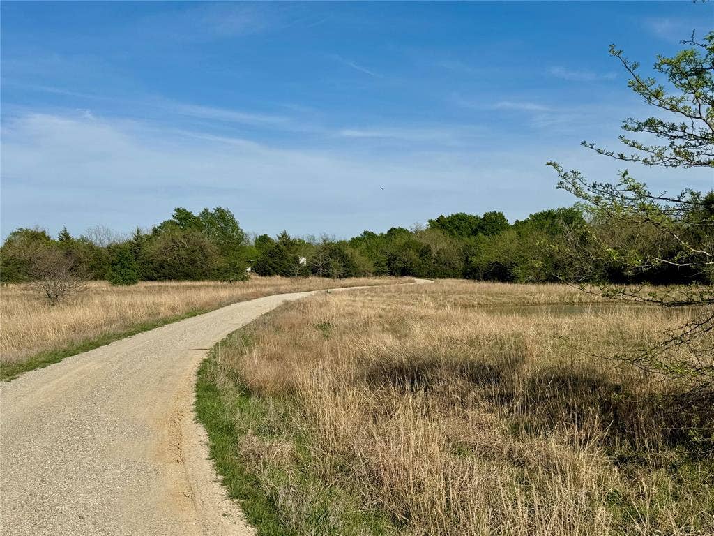 2377 FM 36 N, Farmersville, TX 75442 Expansive acreage featuring a winding gravel drive, open grassland, and mature tree clusters