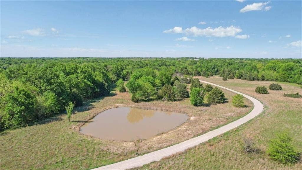 2377 FM 36 N, Farmersville, TX 75442 Expansive acreage featuring a private pond, mature tree clusters, open pasture land, and a winding gravel path