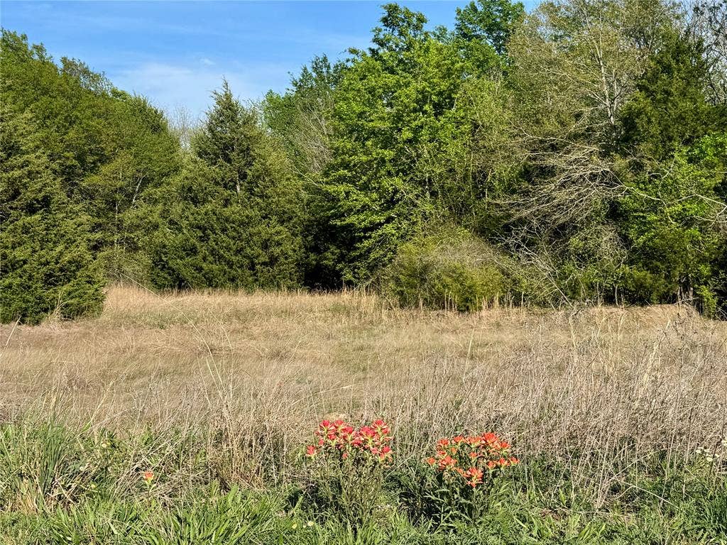 2377 FM 36 N, Farmersville, TX 75442 Good mix or pasture and trees
