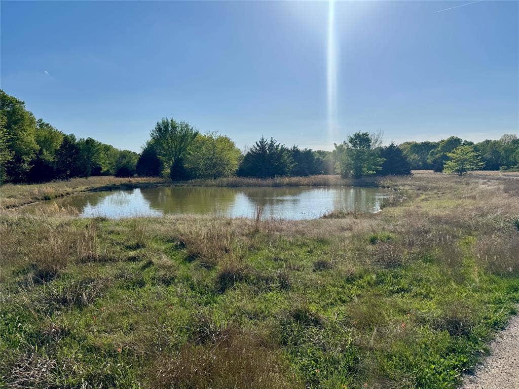 2377 FM 36 N, Farmersville, TX 75442 pond, open grassy terrain, and mature trees