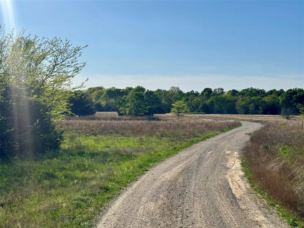 2377 FM 36 N, Farmersville, TX 75442 Expansive acreage featuring a natural landscape, mature tree lines, and a gravel access path