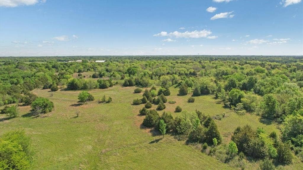 2377 FM 36 N, Farmersville, TX 75442 Expansive acreage featuring rolling grassy terrain, clusters of mature trees, and dense wooded areas