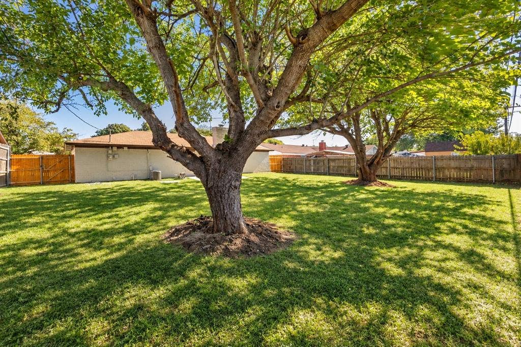 Spacious backyard featuring a manicured lawn, mature trees, and wooden perimeter fencing