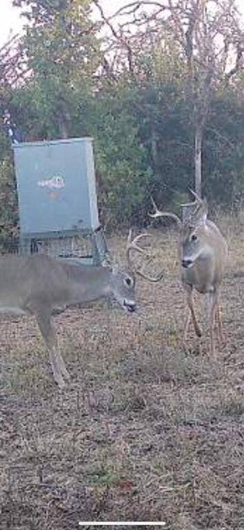 TBD County Road 309, Eastland, TX 76448