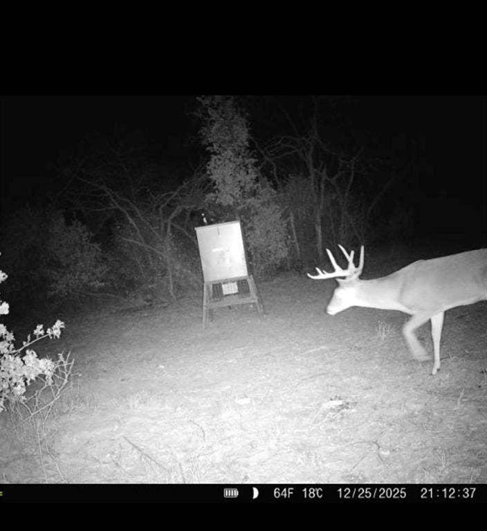 TBD County Road 309, Eastland, TX 76448