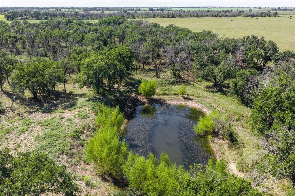 TBD County Road 309, Eastland, TX 76448