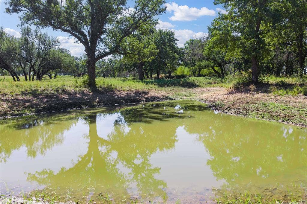 TBD County Road 309, Eastland, TX 76448