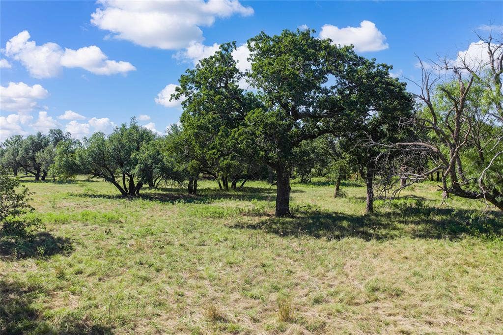 TBD County Road 309, Eastland, TX 76448