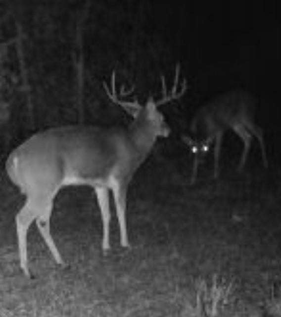 TBD County Road 309, Eastland, TX 76448