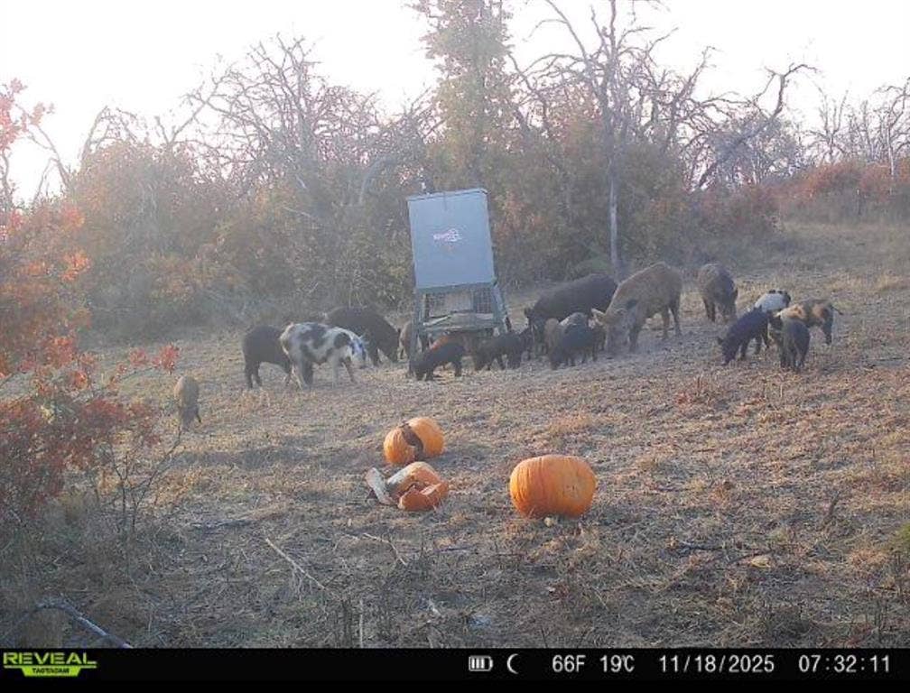 TBD County Road 309, Eastland, TX 76448