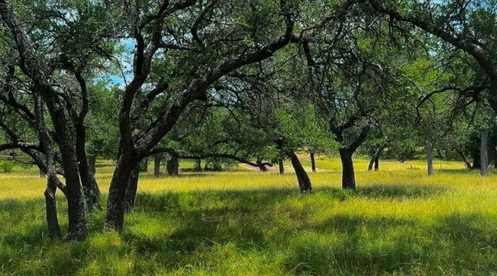 Lot 26 Swiss Ranch Rd, Round Mountain, TX 78663 Lot 26 Swiss Ranch Rd, Round Mountain, TX 78663