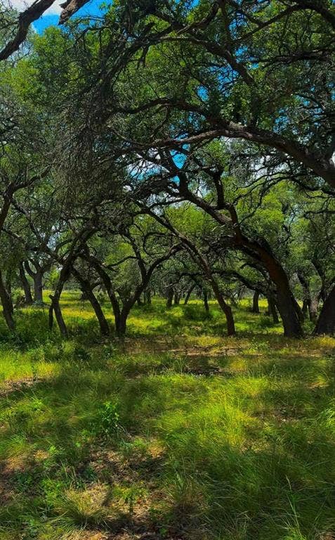 Lot 26 Swiss Ranch Rd, Round Mountain, TX 78663 Lot 26 Swiss Ranch Rd, Round Mountain, TX 78663