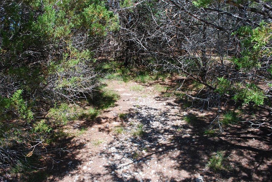 Property photo for 11030 Juniper Drive, Whitney, TX