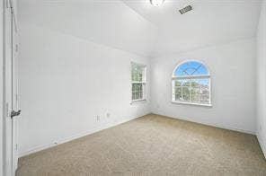 Vaulted ceiling room featuring neutral carpeting, an arched window, and dual-pane vertical windows