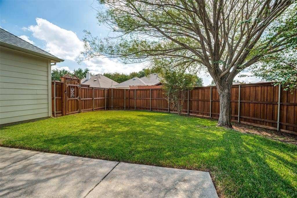 Backyard view showcasing the shade tree and outdoor green space