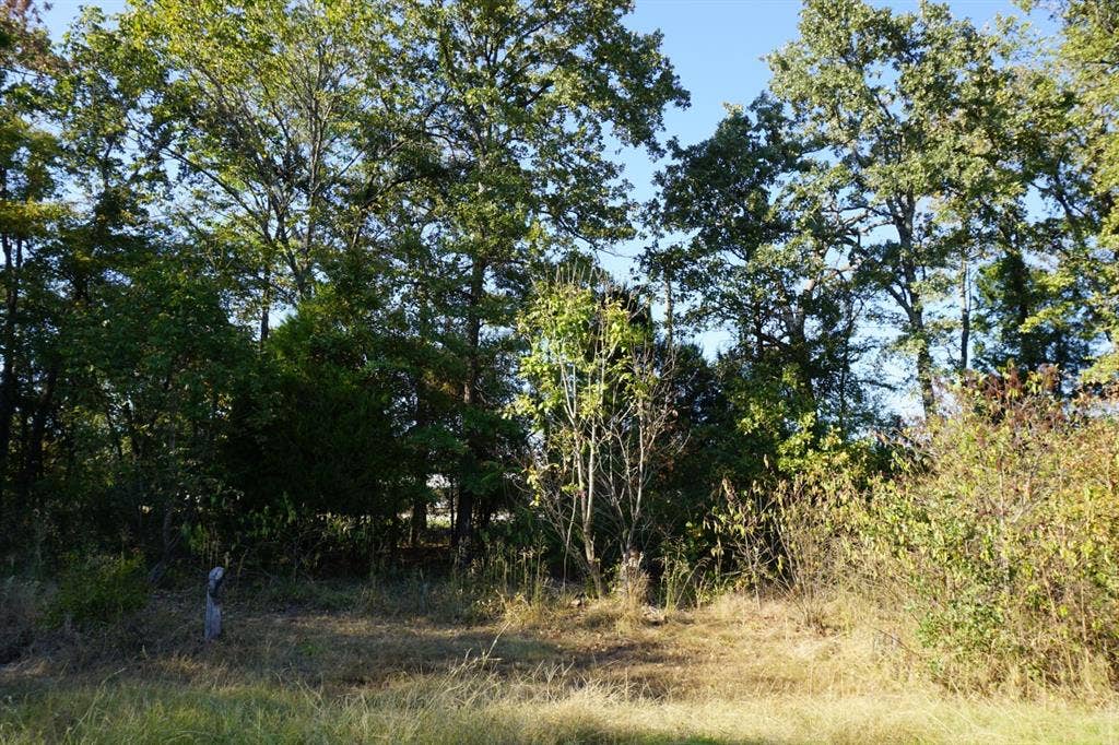 1688 Doc Holiday Dr, Log Cabin, TX 75148 View of undeveloped land