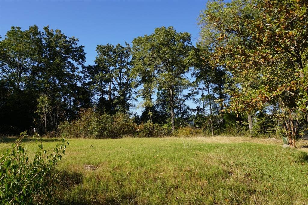 1688 Doc Holiday Dr, Log Cabin, TX 75148 View of nature
