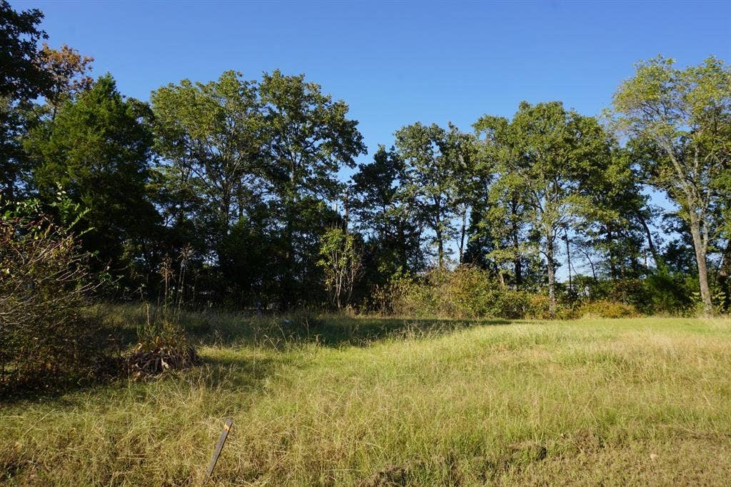 1688 Doc Holiday Dr, Log Cabin, TX 75148 View of local wilderness