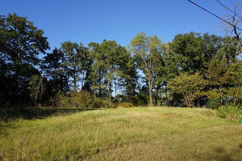 1688 Doc Holiday Dr, Log Cabin, TX 75148 View of undeveloped land