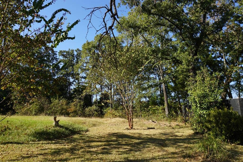 1688 Doc Holiday Dr, Log Cabin, TX 75148 View of local wilderness