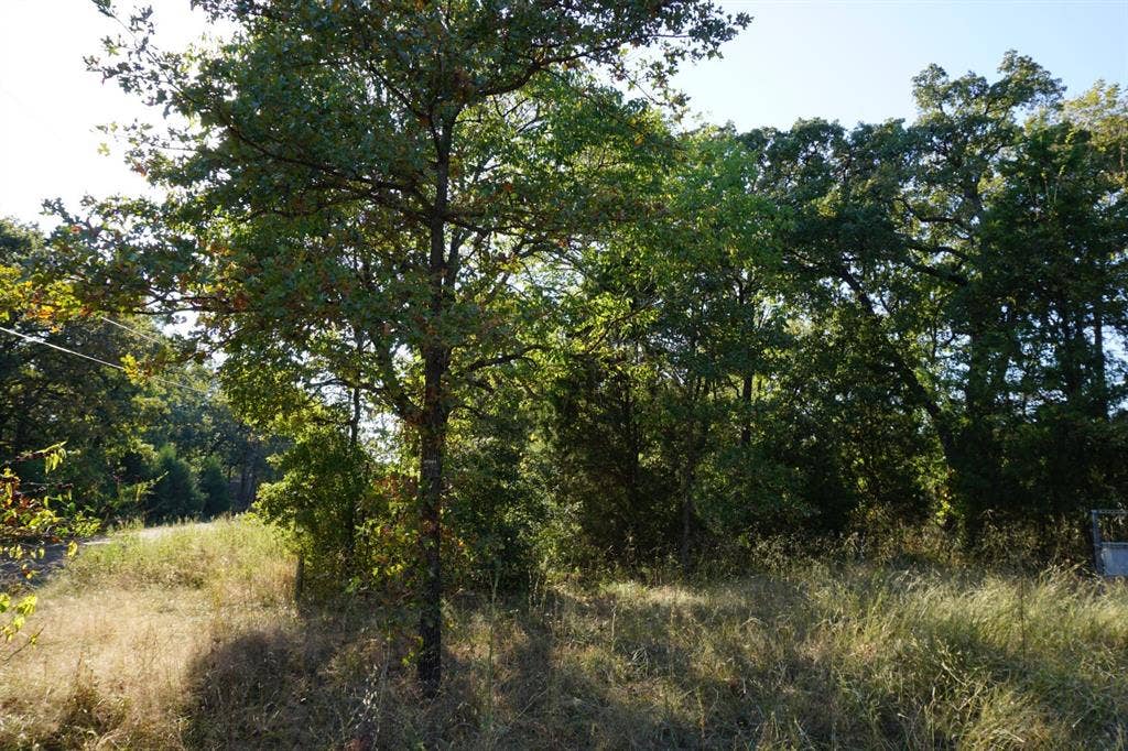 1688 Doc Holiday Dr, Log Cabin, TX 75148 View of wooded area