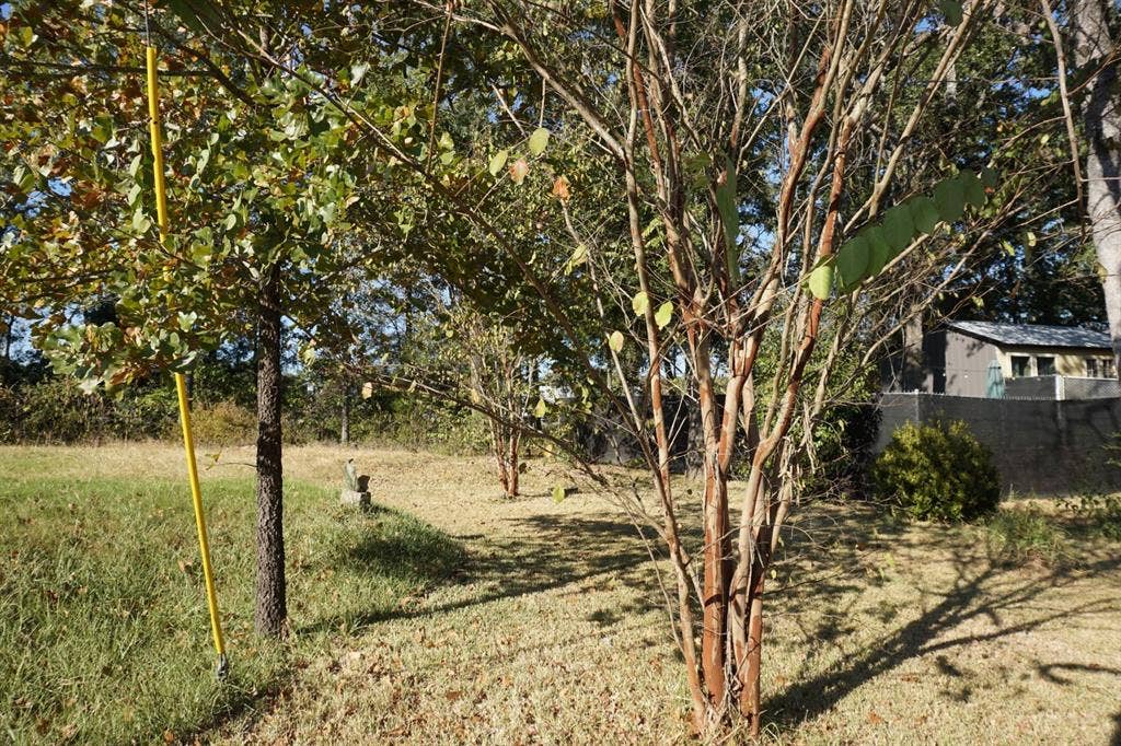 1688 Doc Holiday Dr, Log Cabin, TX 75148 View of yard
